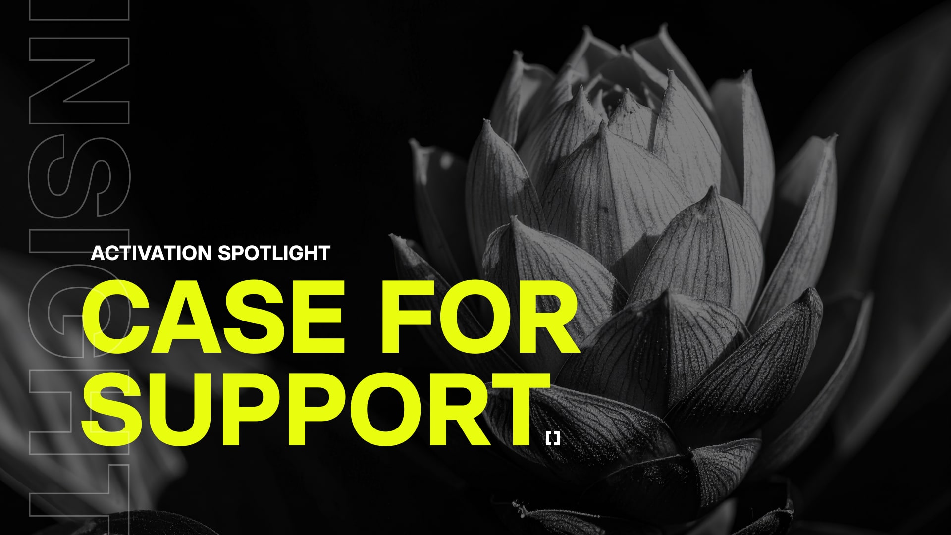 Case for Support
