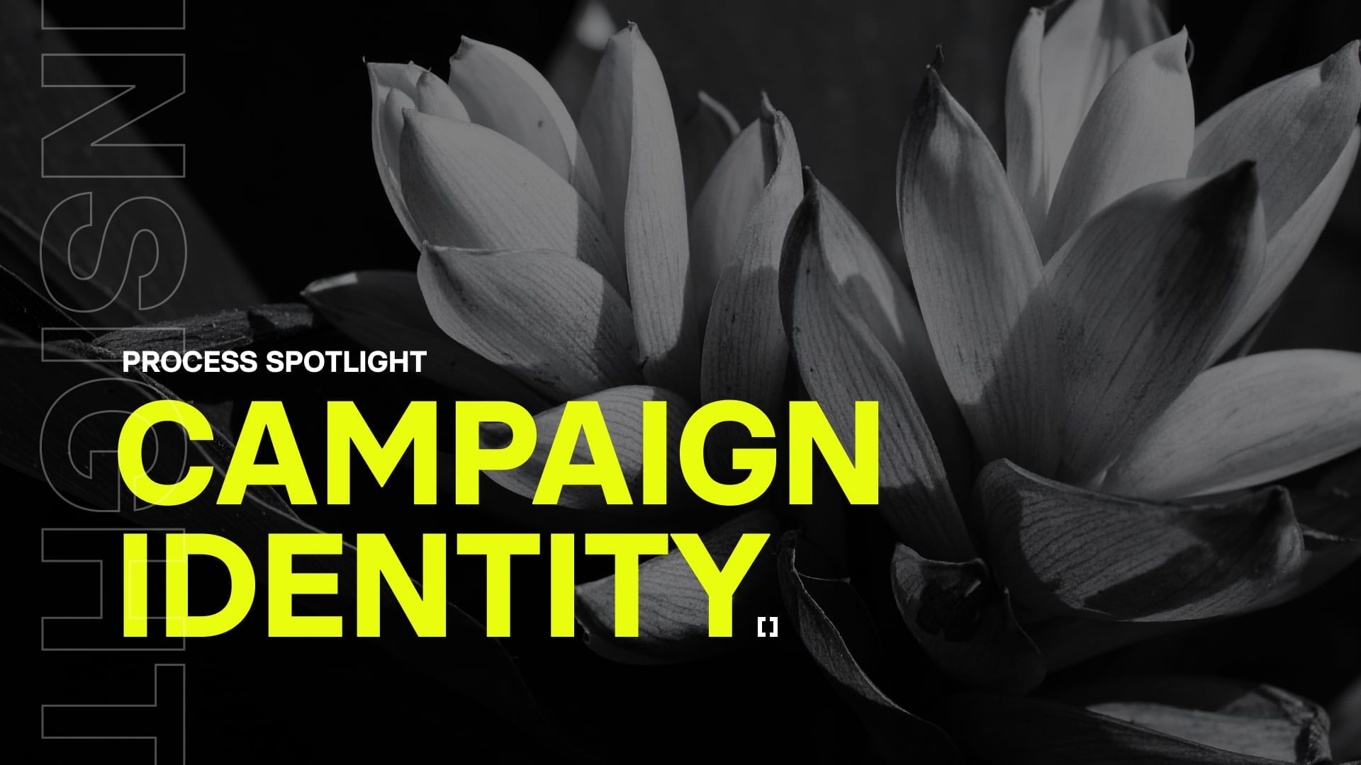 Campaign Identity