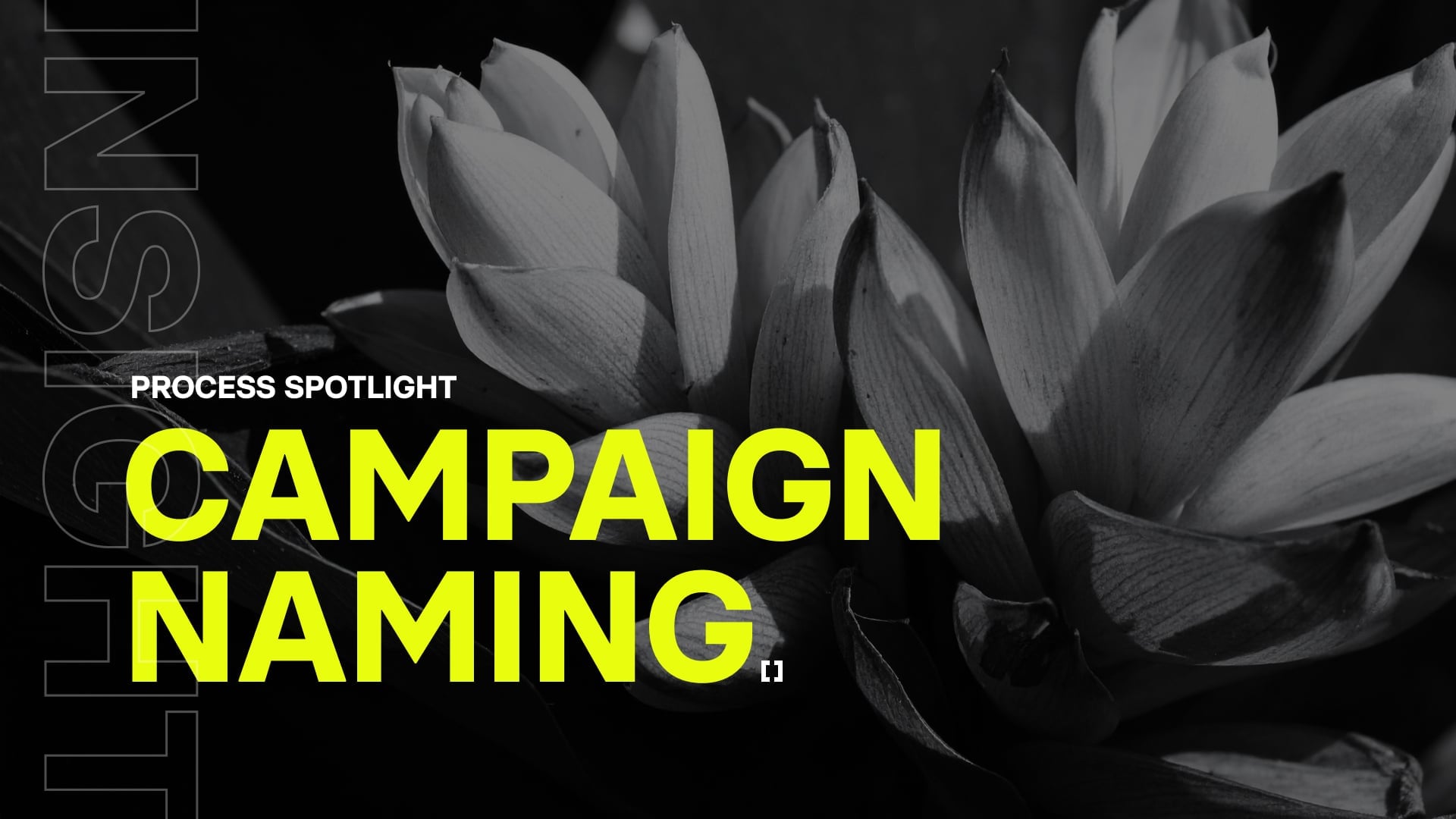 Campaign Naming
