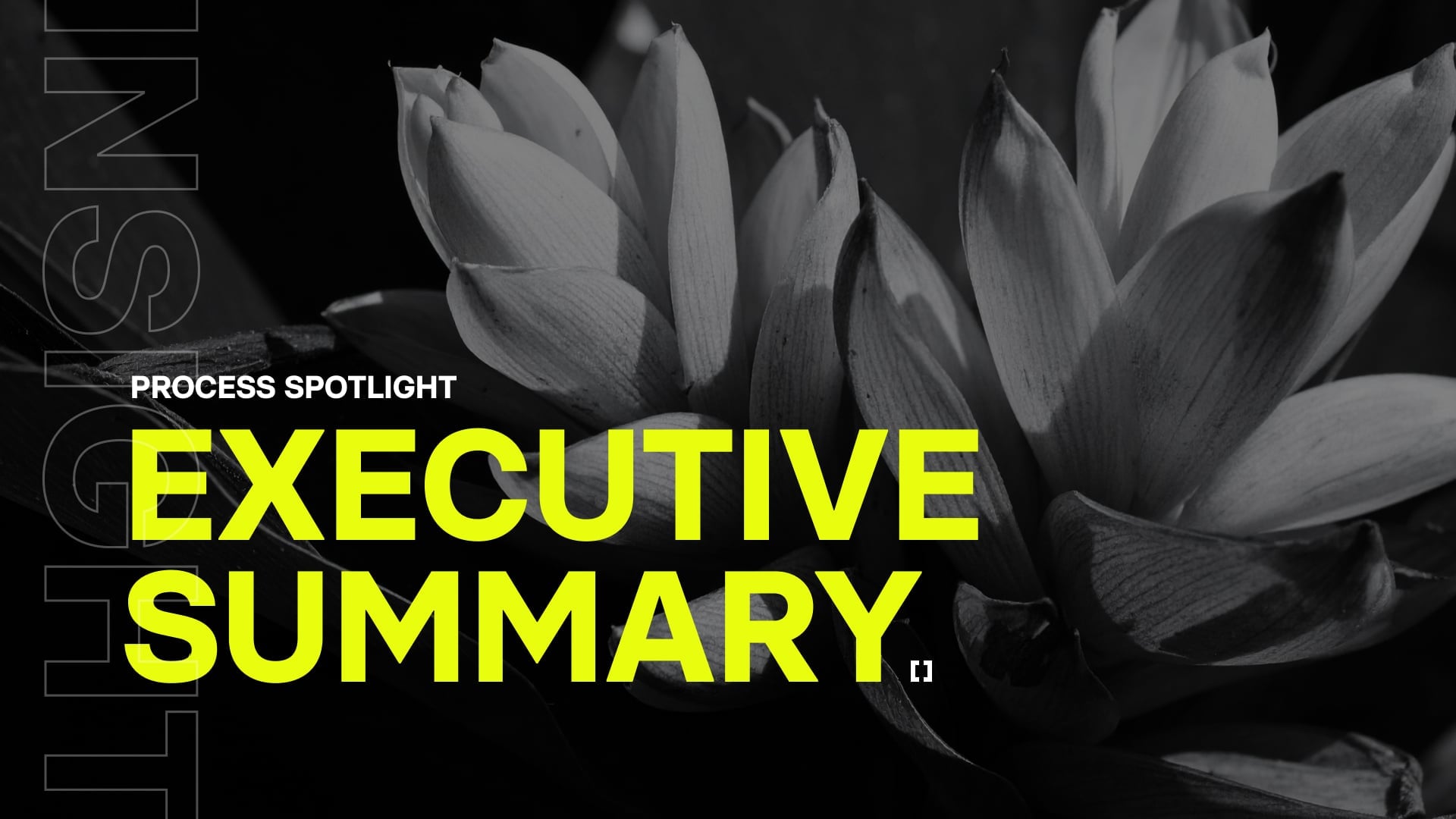 Executive Summary