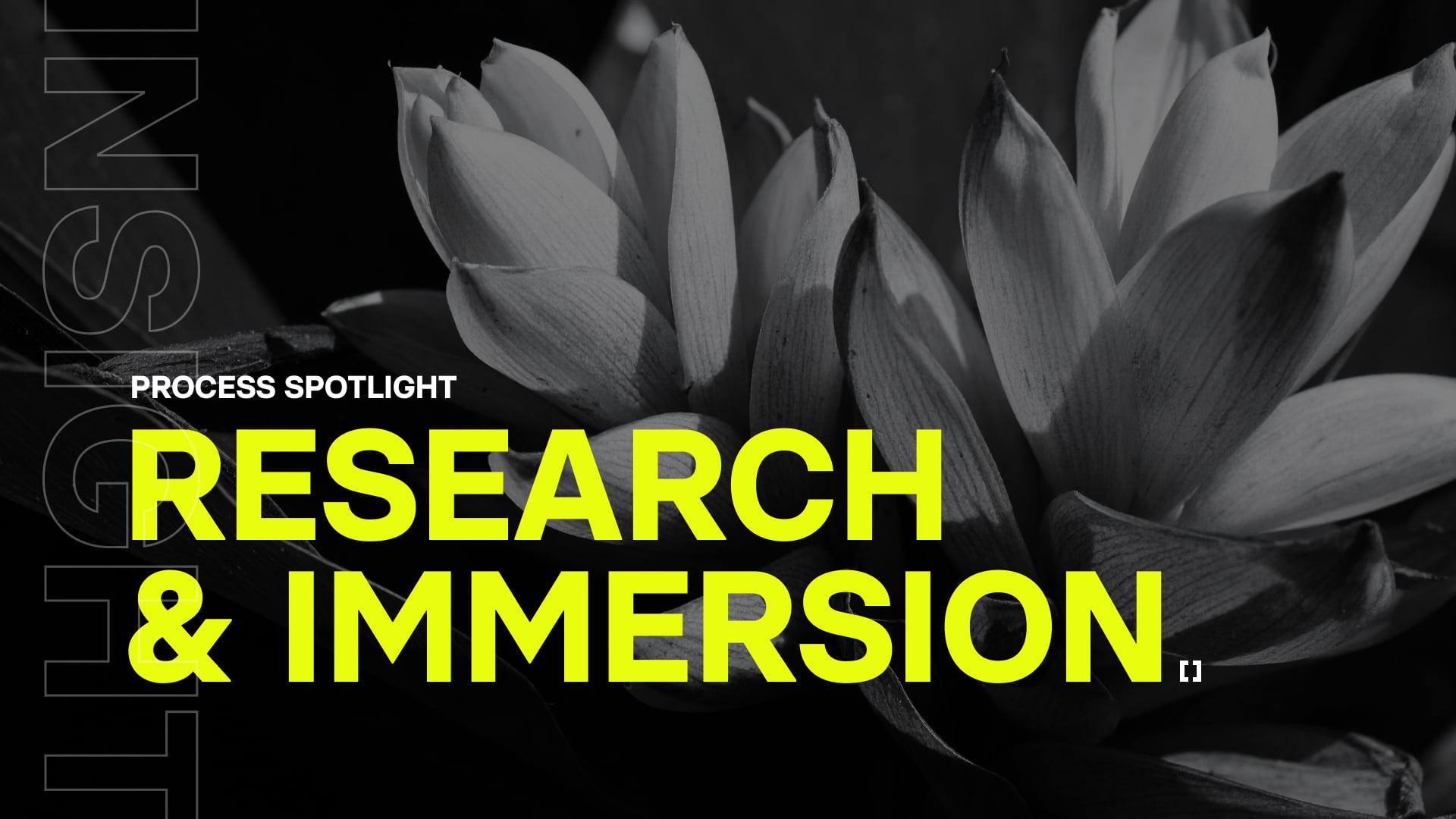 Research & Immersion