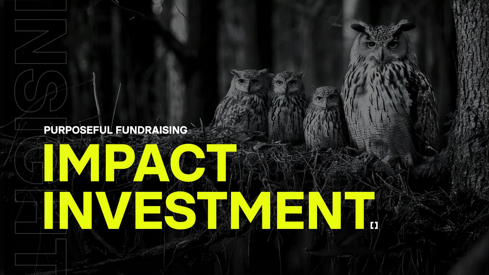 Impact investment: Purpose in fundraising