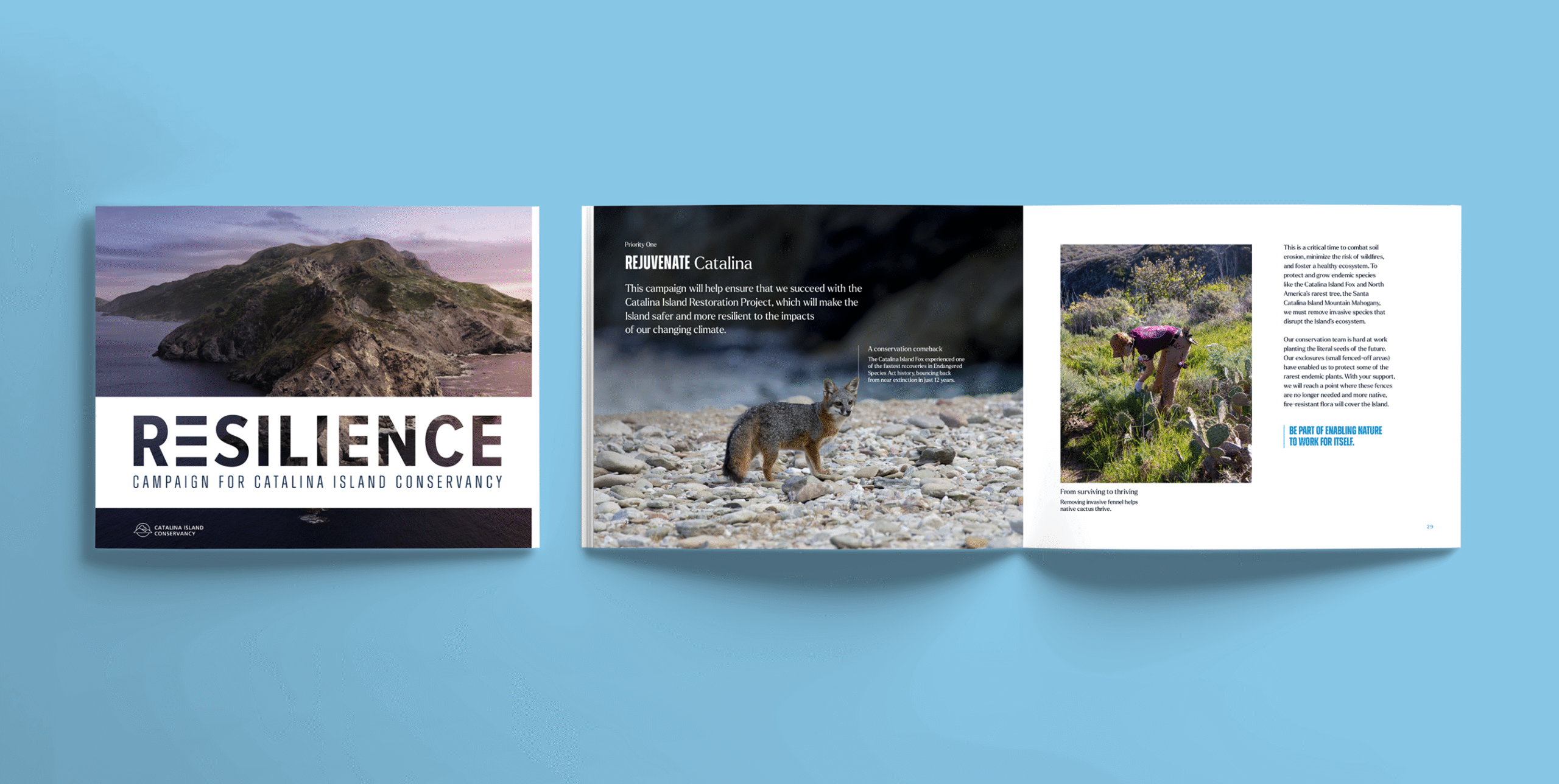 Open campaign booklet for the Catalina Island Conservancy, featuring the title “Resilience” on the cover and inside pages with a Catalina Island fox and a person working in the field.