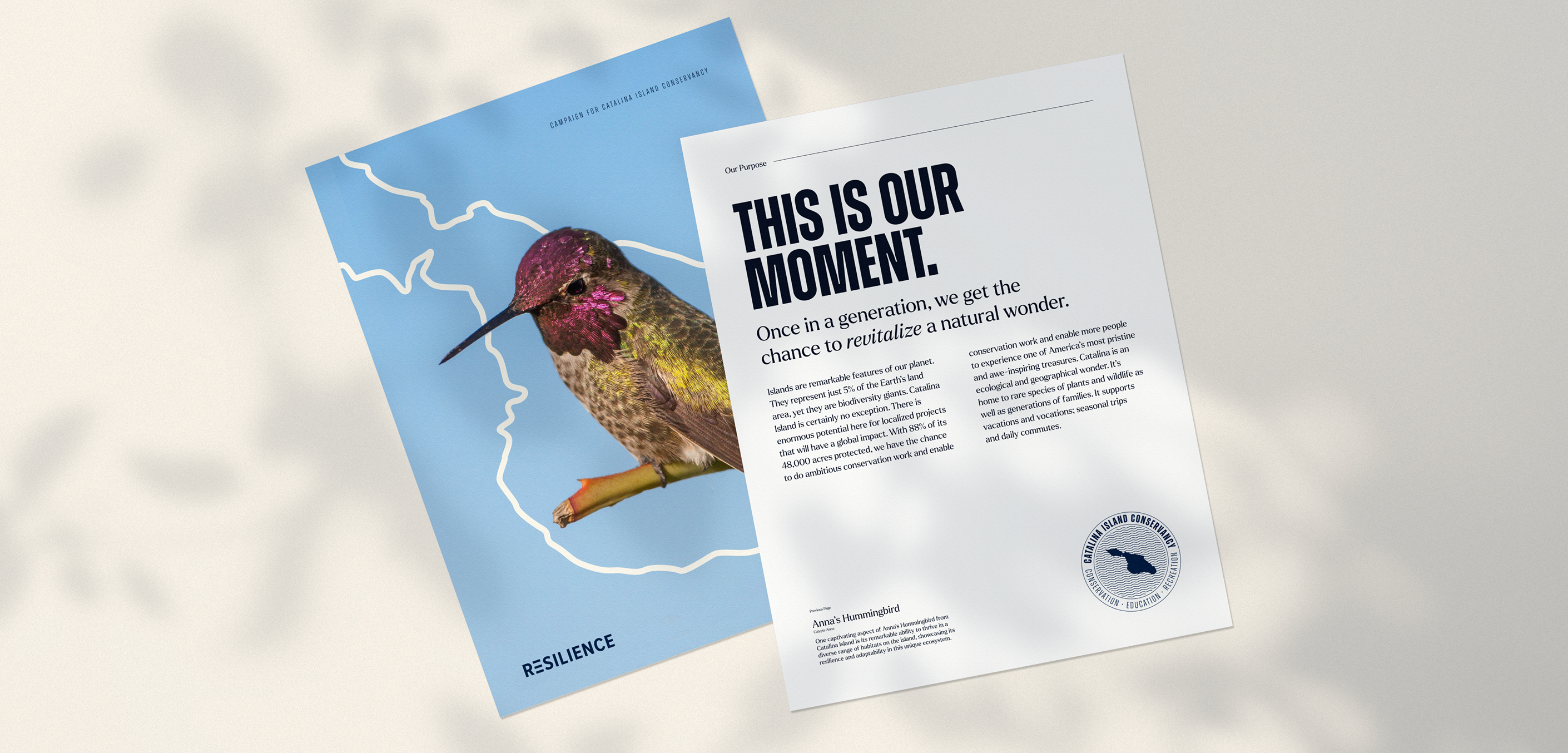 Two printed campaign materials, one featuring a hummingbird and the other with the headline “This is our moment.”