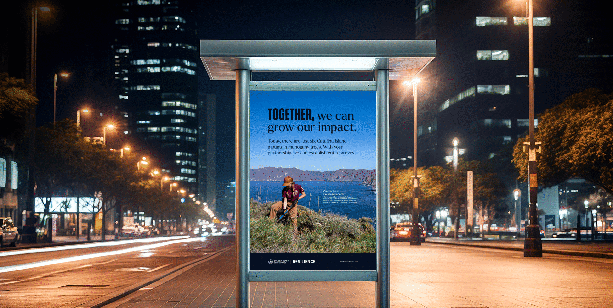 Bus stop advertisement at night featuring the Resilience campaign with the headline “Together, we can grow our impact.”
