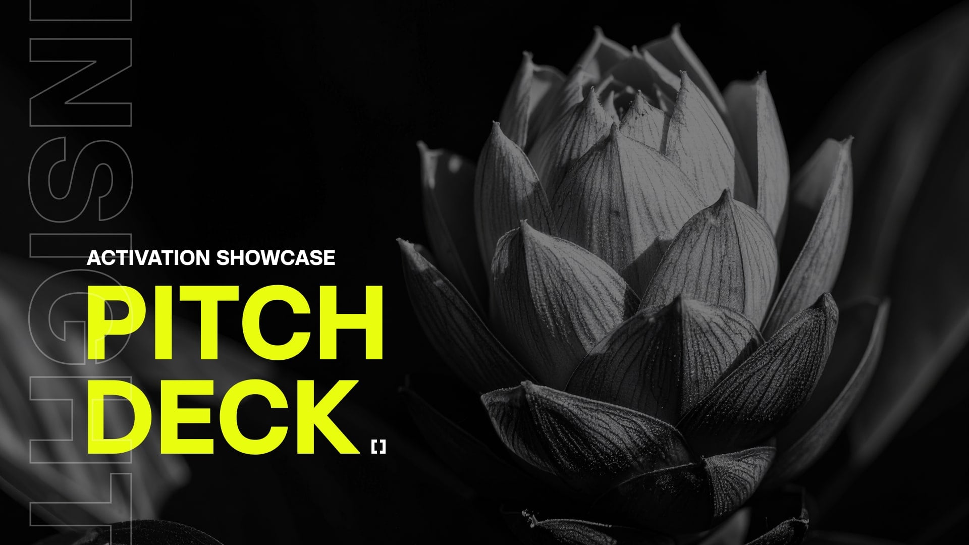 Pitch Deck