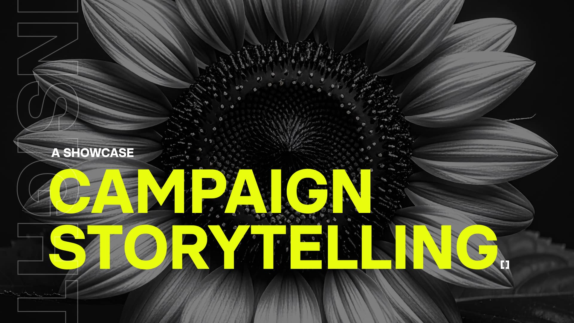 How Great Campaigns Build Momentum