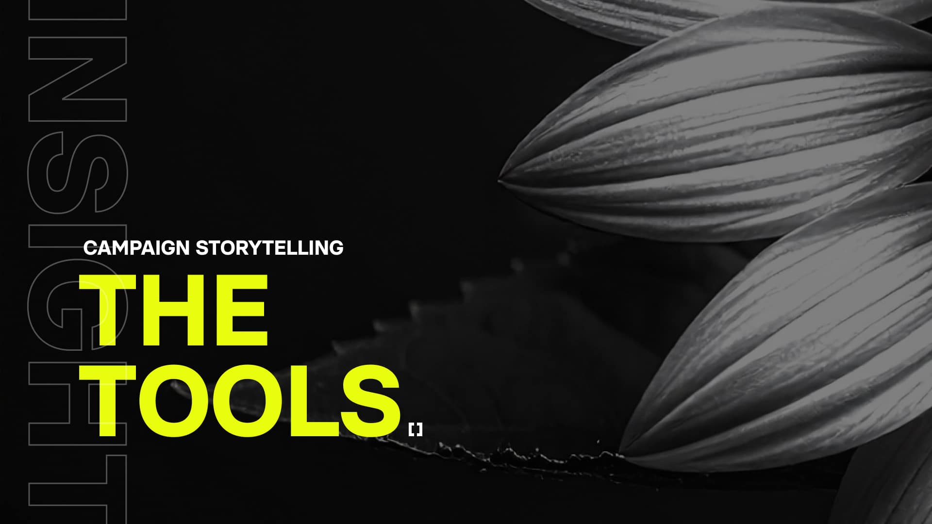 How to Align Your Team to Maximize Storytelling
