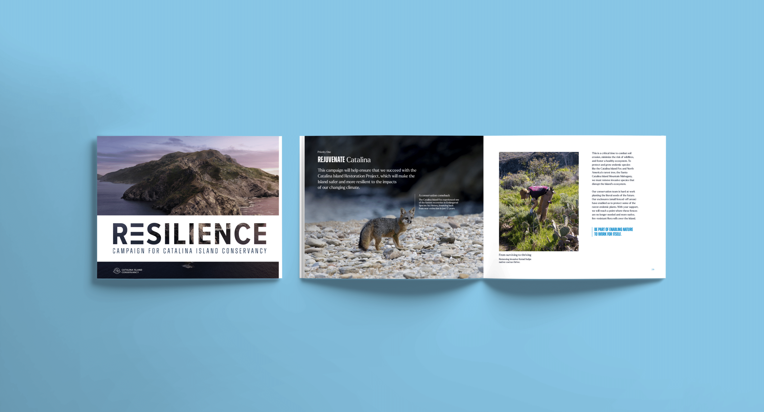 Catalina Island Conservancy Case for Support